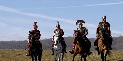 An Owl in a Thornbush posteri