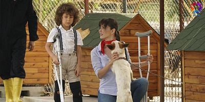 Dolunay 4.Bölüm posteri