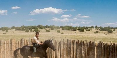 Wisdom of the Horse posteri