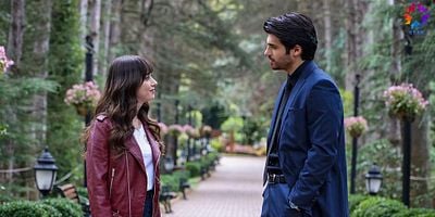 Dolunay 11.Bölüm posteri