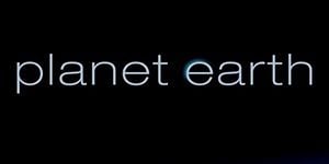 From Pole to Pole posteri