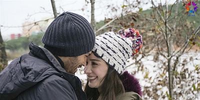 Dolunay 22.Bölüm posteri