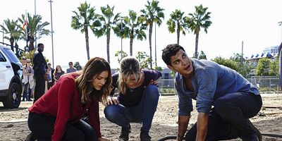 Who Let the Dog Out ('Cause Now It's Stuck in a Cistern) posteri