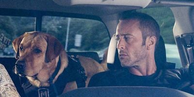 Ka Hopu Nui 'Ana posteri