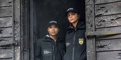 Ties That Bind posteri