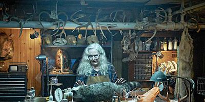 Insidious Onset posteri