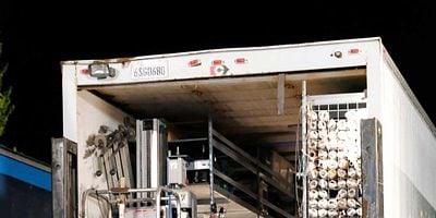 Codependence posteri