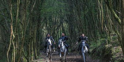 Diriliş Ertuğrul 114.Bölüm posteri