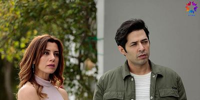 Ufak Tefek Cinayetler 25.Bölüm posteri