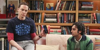 The Sibling Realignment posteri