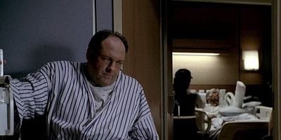 The Fleshy Part of the Thigh posteri