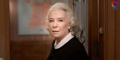 İstanbullu Gelin 60.Bölüm posteri