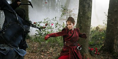 Raven's Feather, Phoenix Blood posteri