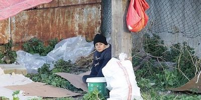 İkizler Memo - Can 19.Bölüm posteri