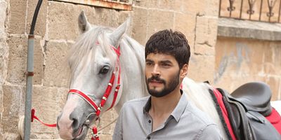Hercai 10.Bölüm posteri