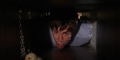 iHatch Chicks posteri