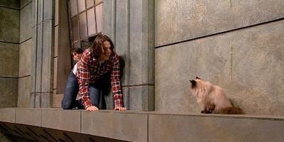 iWon't Cancel the Show posteri