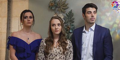 Güvercin 8.Bölüm posteri