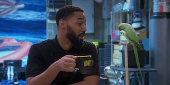 Weed of Fortune posteri