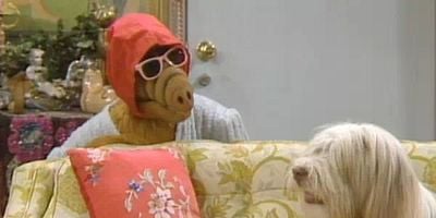 You Ain't Nothin' But a Hound Dog posteri