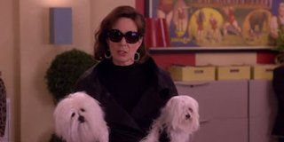 Cohen And Donavan posteri