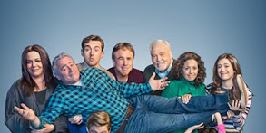 The Silver Fox posteri