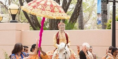 Elaine's Big Day posteri