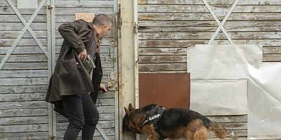 Arka Sokaklar 620.Bölüm posteri