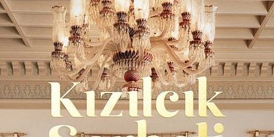 Kızılcık Şerbeti 31.Bölüm posteri