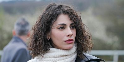 Bir Küçük Gün Işığı 29.Bölüm posteri