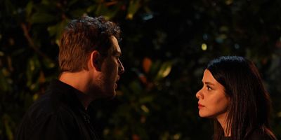 Ateş Kuşları 25.Bölüm posteri