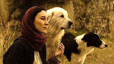 TV+ın Temmuz Ayı İçeriklerinde Neler Var? haber görseli