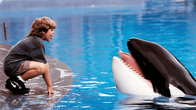 Denizlerin Özgür Devine Modern Dokunuş: "Free Willy" Efsanesi Geri Dönüyor! haber görseli
