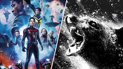 ABD Box Office: "Ant-Man 3" Hızla Düşerken "Cocaine Bear" Beklentileri Aştı! haber görseli