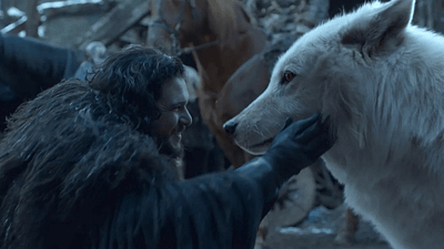 George R.R. Martin, Soyu Tükenen Ulukurtlarla Buluştuğunda Gözyaşlarını Tutamadı haber görseli