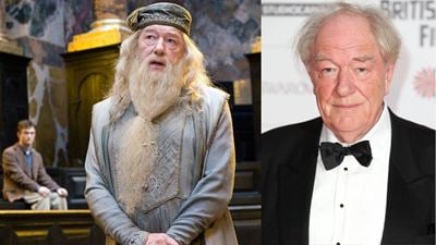 Harry Potter Serisinin Dumbledore'u Michael Gambon Hayatını Kaybetti