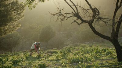 33. Ankara Film Festivali Biletleri Yarın Satışa Çıkıyor! haber görseli