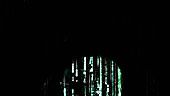 What is the Matrix..? haber görseli