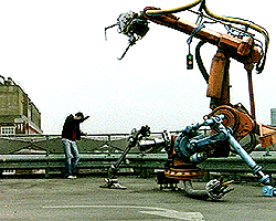 Rebelfest Sonuçlandı haber görseli