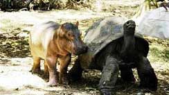 Efekt Güzeli haber görseli