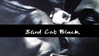 Blind Cat Black / Bakışsız Bir Kedi Kara haber görseli