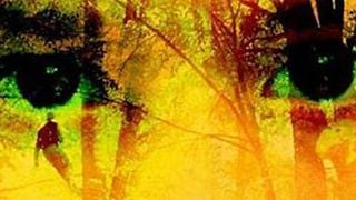 Amerika'dan 'Bal'a Ödül! haber görseli