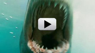 'Shark Night 3D' İlk Fragman! haber görseli