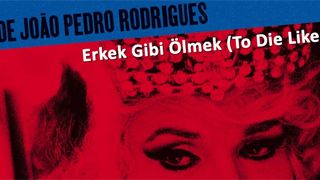 Türkiye’nin ilk Kuir Festivali'ne Sayılı Günler Kaldı! haber görseli