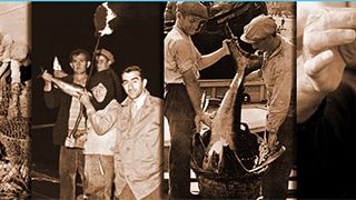 Boğaziçi Balıkları İlk Gösterimini Gerçekleştiriyor! haber görseli