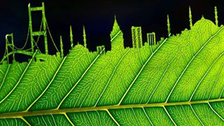 3. Doğa Filmleri Yarışması Başvuruları Başladı! haber görseli