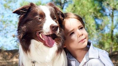 ''Arkadaşım Max'' İstanbul Akvaryum'da haber görseli