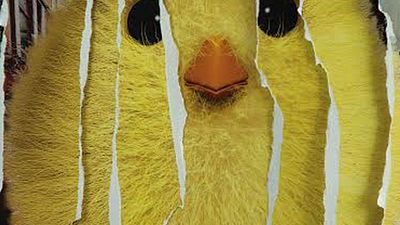 !f İstanbul'da Bilet Ön Satışları Başlıyor! haber görseli