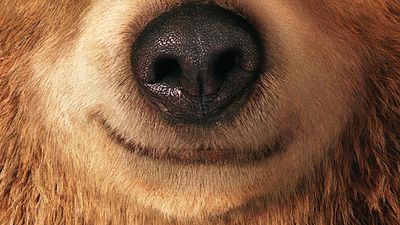 Paddington Filminden Türkçe Yerel Afiş İlk Kez Beyazperde.com'da! haber görseli