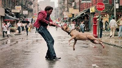 Pera Film'de Yeni Sezon! haber görseli